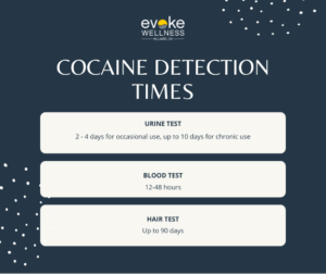 how long does cocaine stay in your system infographic 