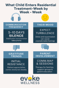 Treatment Timeline